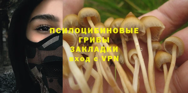 гидропоника Касимов