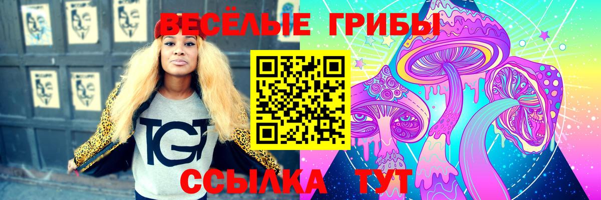 Лесозаводск  Псилоцибиновые грибы ЛСД  Вход с VPN 
