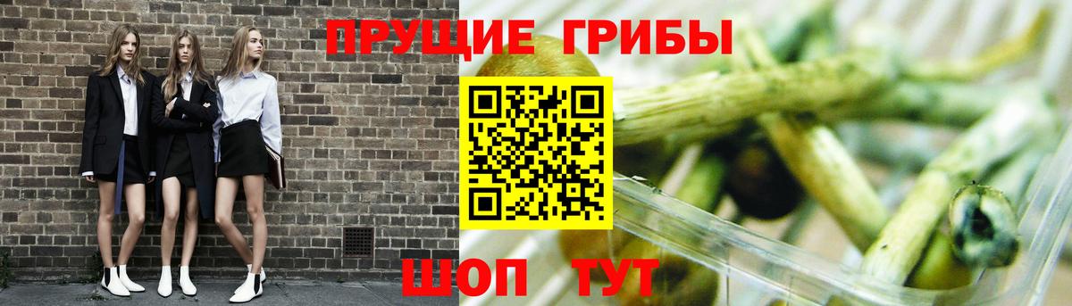 Бошки Шишки  ГАШ  Меф МЯУ МЯУ   Экстази  КОКАИН  ГАШ  Лесозаводск  Вход с VPN 