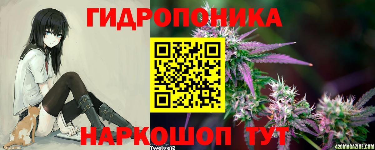 Канабис гибрид Лесозаводск